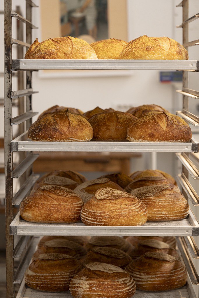 Olivieri 1882: awarded and confirmed with the 3 Pani for the sixth year by Gambero Rosso.