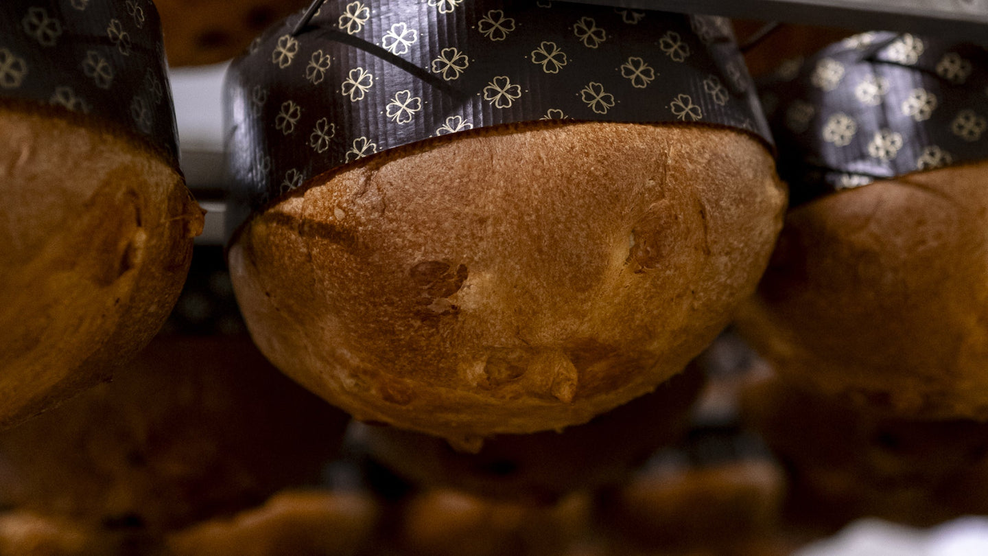 Panettone and Pandoro