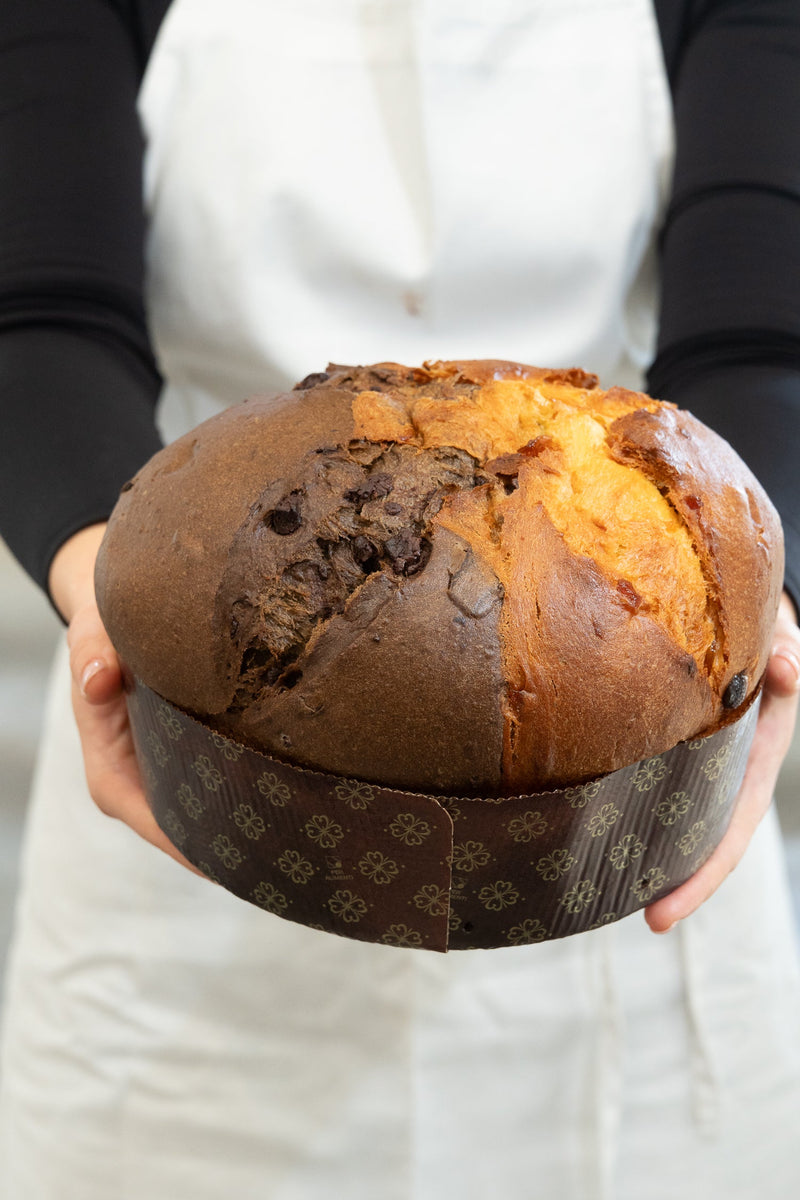 When Opposites Attract: The Apricot & Dark Chocolate Limited Edition