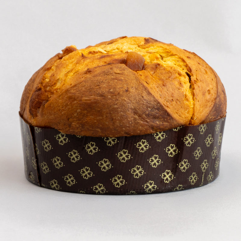Apple and Gingerbread Panettone