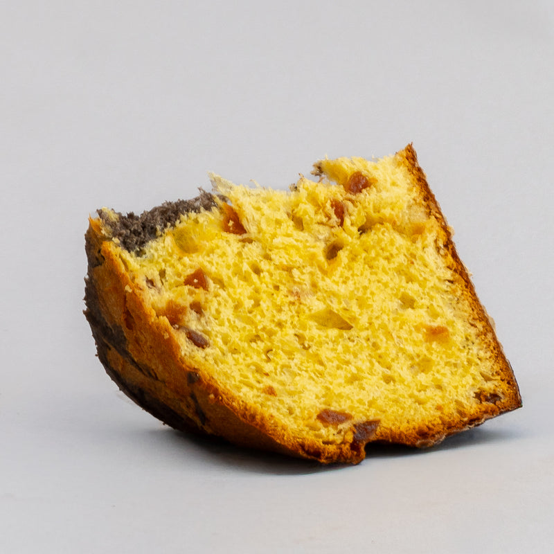 Double Flavor Panettone Apricot and Chocolate