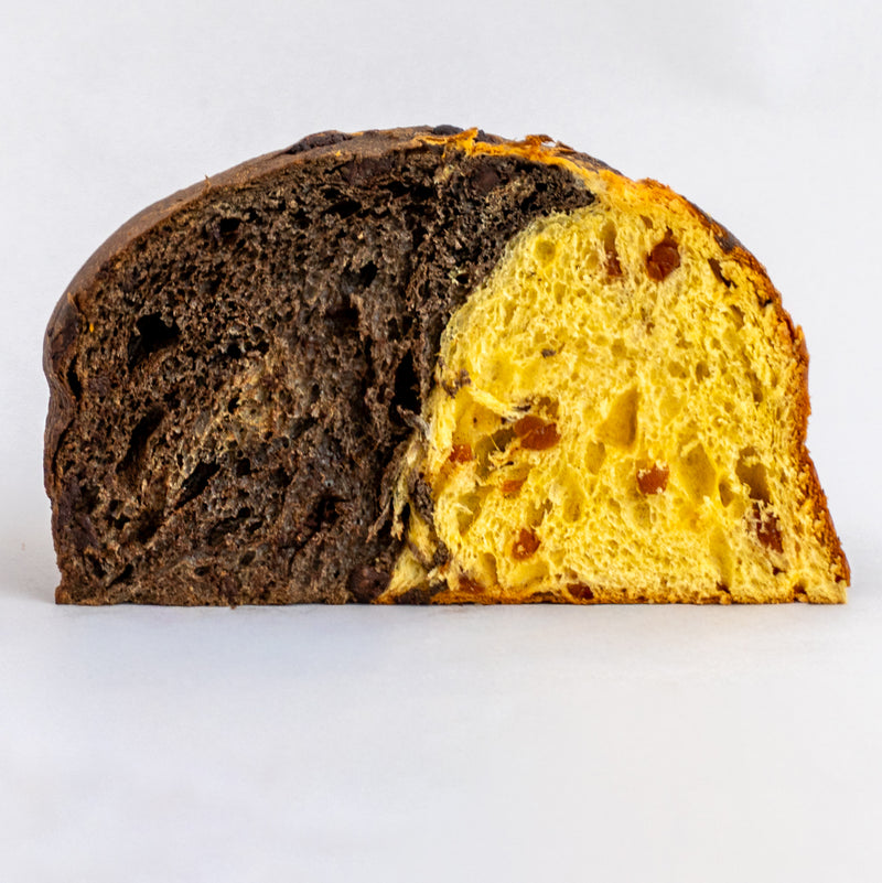Double Flavor Panettone Apricot and Chocolate