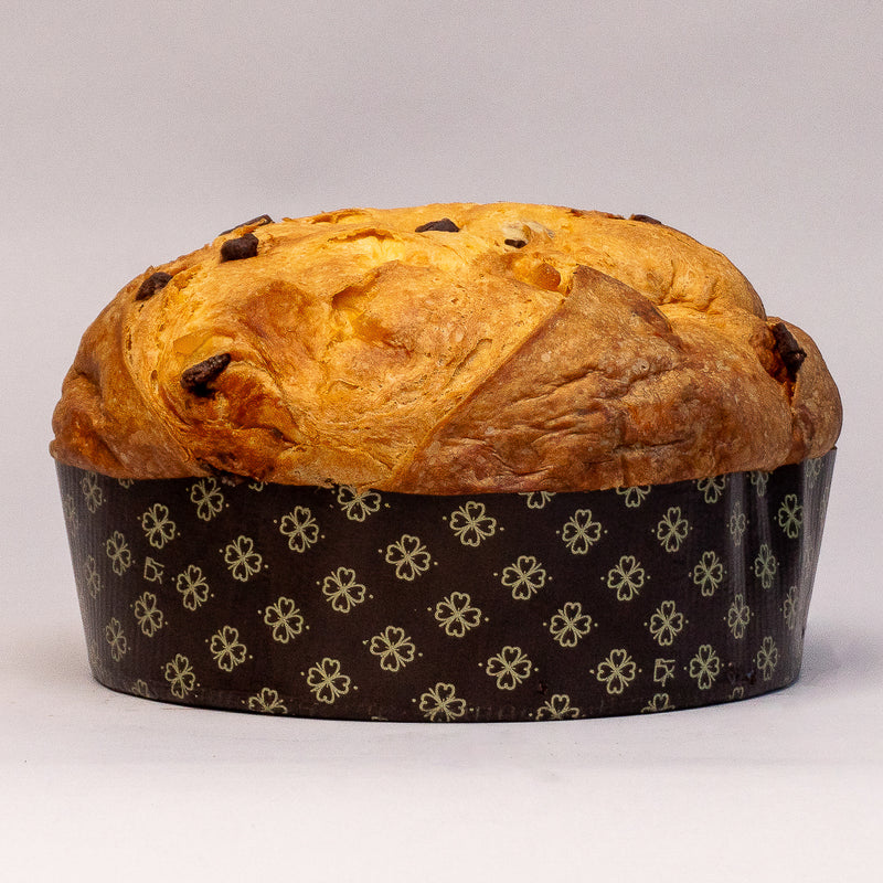 Mango and dark chocolate Mayan red panettone
