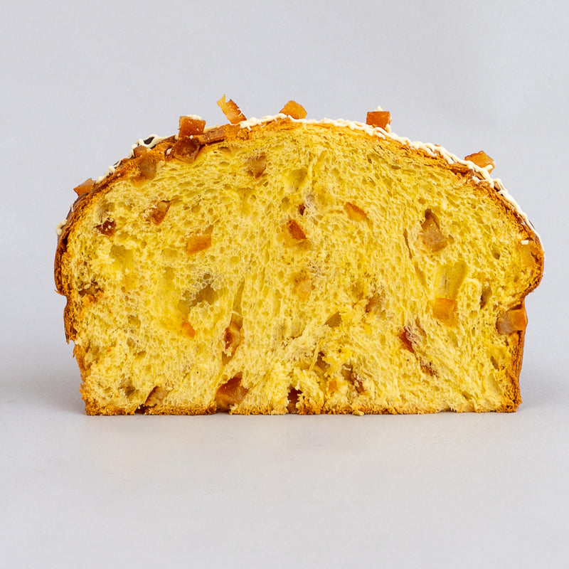 Orange and White Chocolate Panettone
