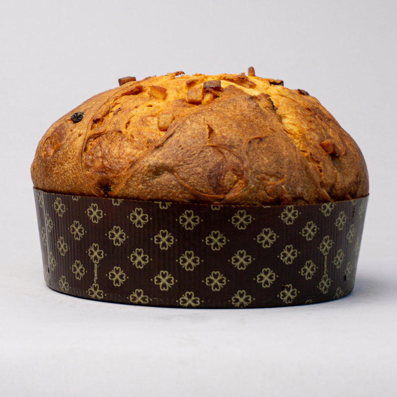 Gin Panettone - Olivieri 1882 x Portofino Dry Gin