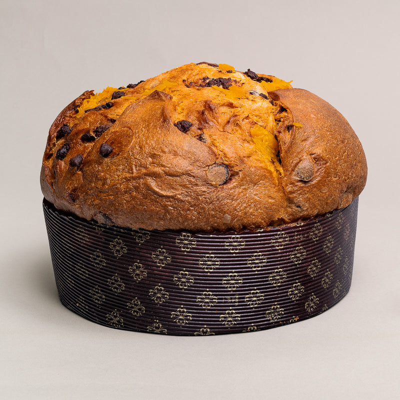 Pumpkin and Dark Chocolate Panettone - Olivieri 1882 x Dario Pegoretti