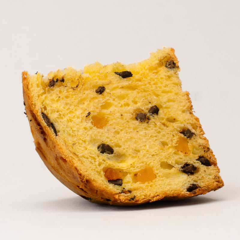 Pumpkin and Dark Chocolate Panettone - Olivieri 1882 x Dario Pegoretti