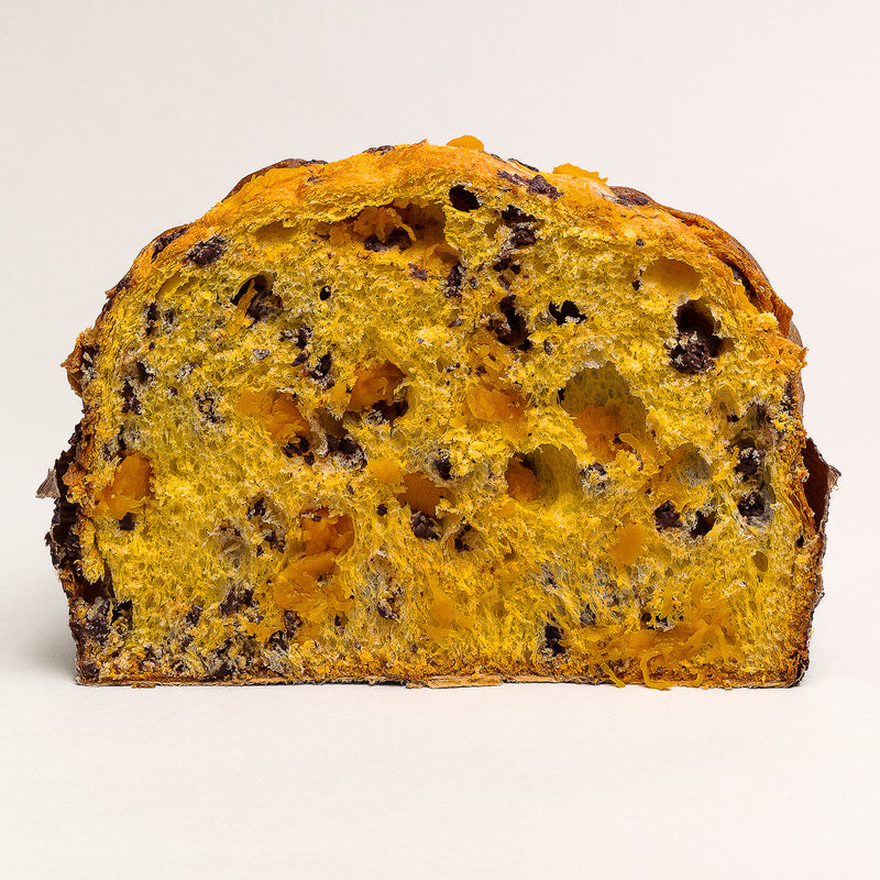 Pumpkin and Dark Chocolate Panettone - Olivieri 1882 x Dario Pegoretti
